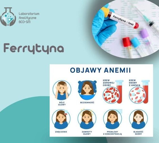 Z cyklu Badania Laboratoryjne w Pigułce – Ferrytyna