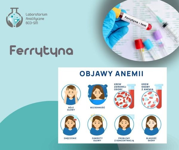 Z cyklu Badania Laboratoryjne w Pigułce – Ferrytyna