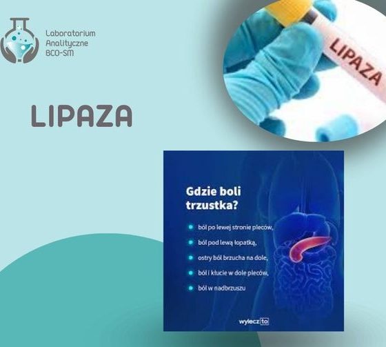 Badania Laboratoryjne w Pigułce – Lipaza