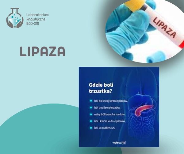 Badania Laboratoryjne w Pigułce – Lipaza